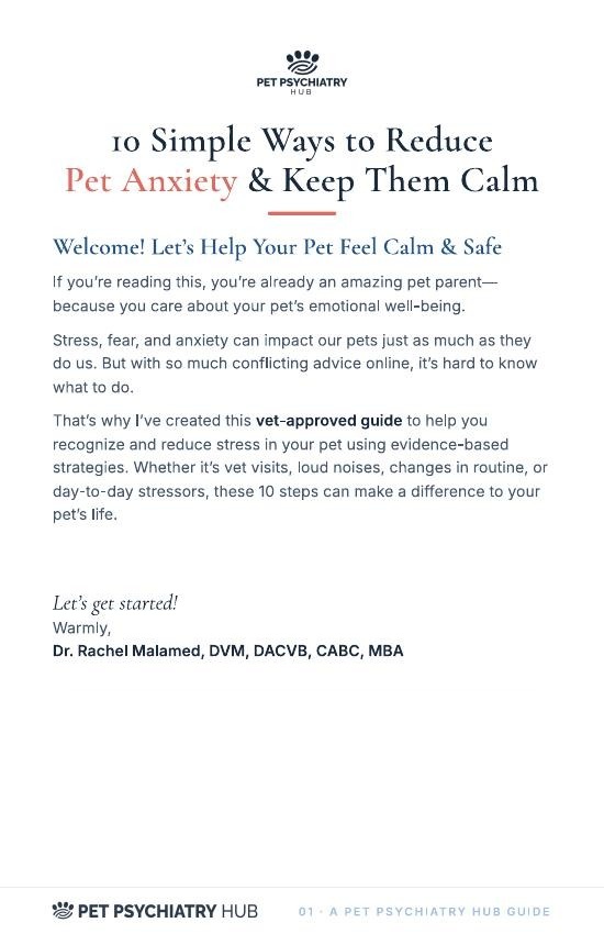 Cover of the free guide: 10 Simple Ways to Reduce Pet Anxiety